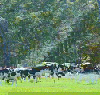 Boyanup - Accommodation QLD