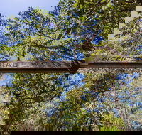 Bribie Island Bicentennial Trails - Accommodation QLD