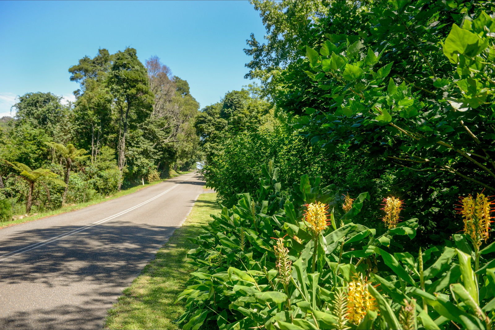 Broughton Vale NSW Accommodation QLD