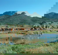 Bundaberg- Biggenden- Mount Perry Circle - Accommodation QLD