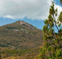 Burrowa-Pine Mountain National Park - Accommodation QLD