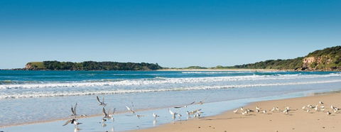 Chinamans Beach Evans Head - Accommodation QLD 2