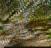 Cliff Face track - Accommodation QLD