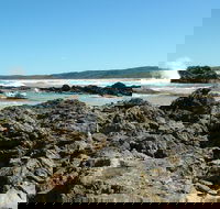 Coastal Walks - Bermagui - Accommodation QLD