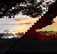 Dangar's Lagoon and Racecourse Lagoon - Accommodation QLD