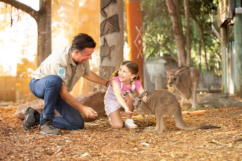 Dreamworld - Accommodation QLD 2