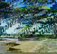 Dumbleyung - Accommodation QLD