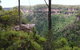 East Rim Wildflower Walking Track - thumb 0