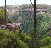East Rim wildflower walking track - Accommodation QLD