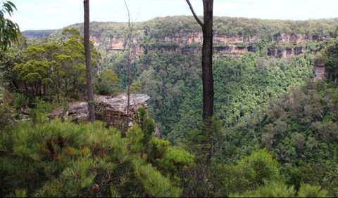 East Rim Wildflower Walking Track - Accommodation QLD 0