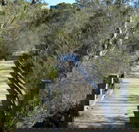 Falcon Crescent Link Track - Accommodation QLD
