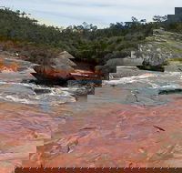 FR Berry Reserve - Accommodation QLD