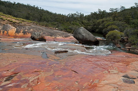 FR Berry Reserve - Accommodation QLD 0