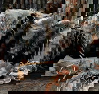 Geckostrands Textile Artist - Accommodation QLD