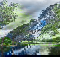 Gold Coast Regional Botanic Gardens - Accommodation QLD