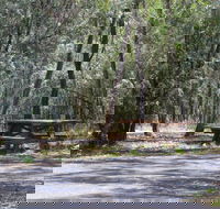 Goonoowigall State Conservation Area - Accommodation QLD