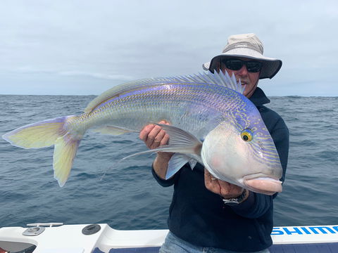 GT Fishing Charters - Accommodation QLD 1