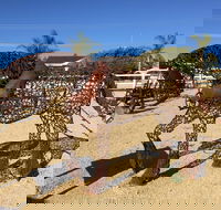 Gundersen Reserve - Accommodation QLD