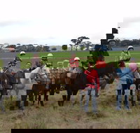 High Country Trail Rides - Accommodation QLD