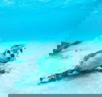 Jurien Bay - Accommodation QLD