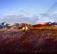 Karlu Karlu / Devils Marbles Conservation Reserve - Accommodation QLD