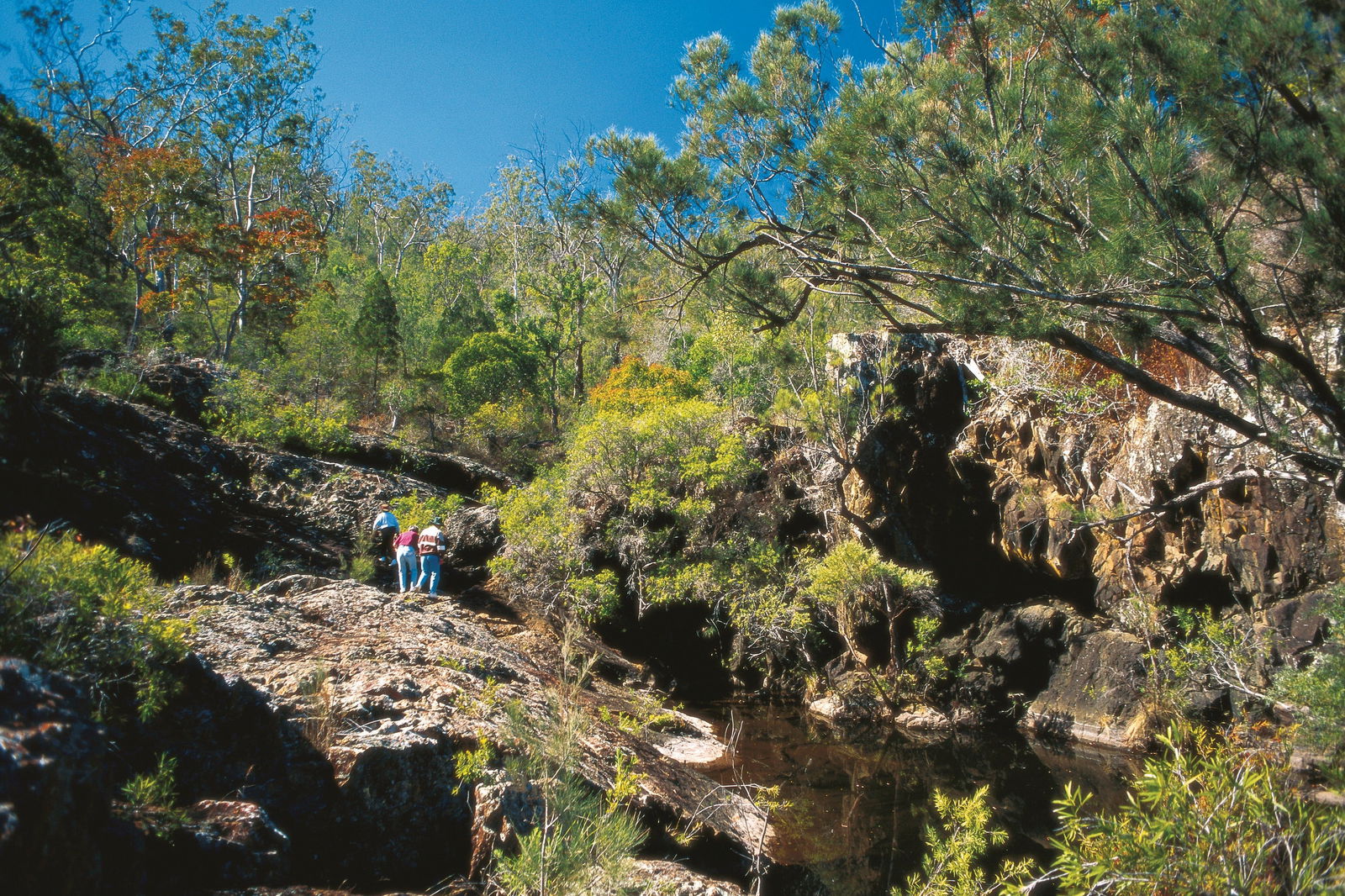 Tablelands QLD Accommodation QLD