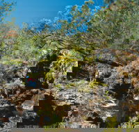 Kroombit Tops National Park - Accommodation QLD