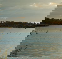 Lake Inverell Reserve - Accommodation QLD