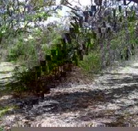 Lanky's Walk - Accommodation QLD