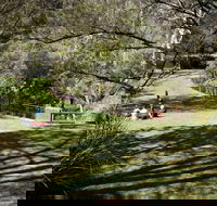Leura Cascades picnic area - Accommodation QLD