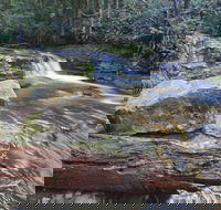 Liffey Falls Reserve - Accommodation QLD