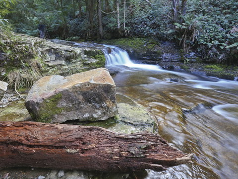 Liffey Falls Reserve - Accommodation QLD 0