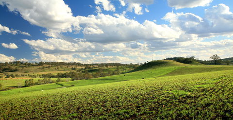 Lions Park, Hodgson Vale - Accommodation QLD 0