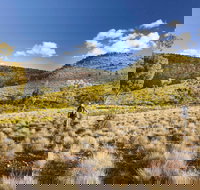 Little Mountain Walking Track - Accommodation QLD