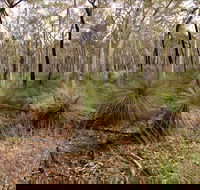 Livingstone National Park - Accommodation QLD