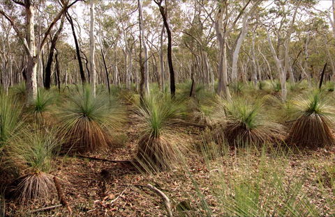 Livingstone National Park - Accommodation QLD 0