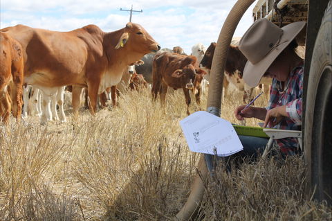 Longreach School Of Distance Education - Accommodation QLD 2