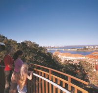Lotterywest Federation Walkway - Kings Park - Accommodation QLD