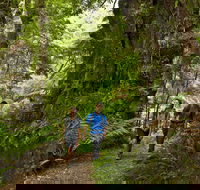 Melba Gully - Accommodation QLD