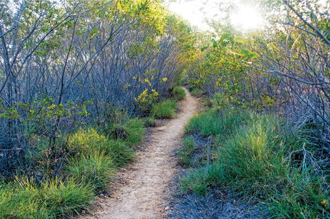 Minerva Hills National Park - Accommodation QLD 2