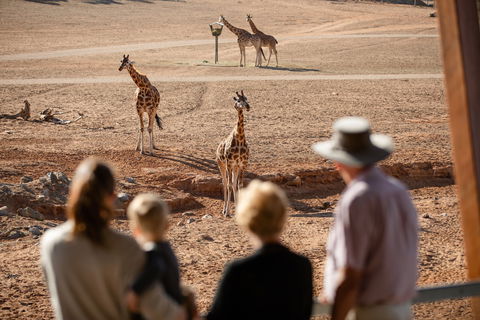 Monarto Safari Park - Accommodation QLD 0