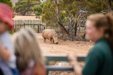 Monarto Safari Park - Accommodation QLD 1