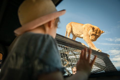 Monarto Safari Park - Accommodation QLD 2