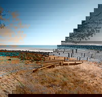 Mon Repos Beach - Accommodation QLD