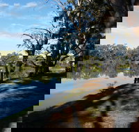 Murray River National Park - Katarapko - Accommodation QLD