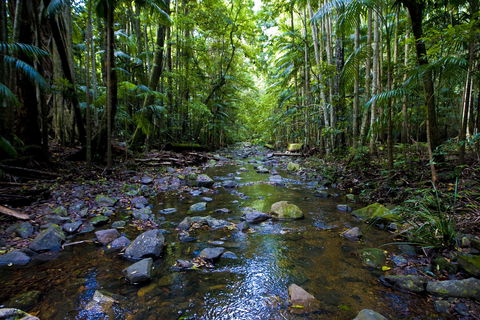 Nambucca Valley - Accommodation QLD 0