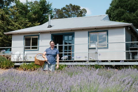 Nannup Lavender Farm - Accommodation QLD 1