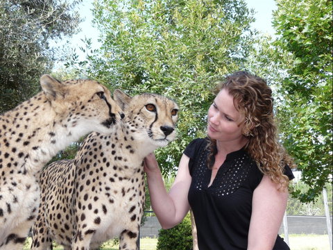 National Zoo & Aquarium - Accommodation QLD 1