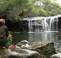 Nellies Glen Picnic Area - Accommodation QLD