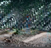 Nerang Mountain Bike Trails - Accommodation QLD